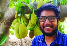 ওমানের মরুতে কাঁঠাল ফলিয়ে আলোচনায় আনোয়ারার সেলিম
