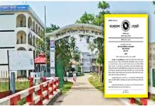 নগরায়ণের পথে পেকুয়া
