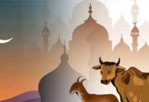 কোরবানির ঈদ কবে, জানা যাবে আজ
