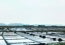 ভারী বৃষ্টি ও ঝড়ো হাওয়ায় লণ্ডভণ্ড লবণ মাঠ