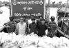 সেন্টমার্টিনে ৩২ কোটি টাকার কারেন্ট জাল জব্দ, আটক ৬