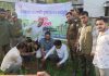 লামায় বৃক্ষরোপণ কর্মসূচির উদ্বোধন
