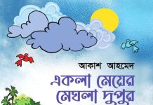 আকাশ আহমেদের কিশোর-উপন্যাস ‘একলা মেয়ের মেঘলা দুপুর’