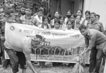 আনোয়ারায় বৃক্ষরোপণ কর্মসূচির উদ্বোধন