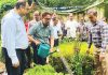 গ্রিন চট্টগ্রাম গড়তে লাগানো হচ্ছে ১০ লক্ষ গাছ : মেয়র