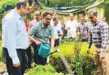 গ্রিন চট্টগ্রাম গড়তে লাগানো হচ্ছে ১০ লক্ষ গাছ : মেয়র