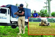 কক্সবাজারে তিনটি কামানের গোলা নিষ্ক্রিয় করল সিটিটিসি