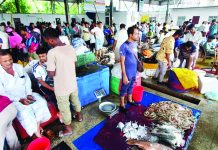 সরগরম কক্সবাজার মৎস্য অবতরণ কেন্দ্র, ইলিশ আসছে কম