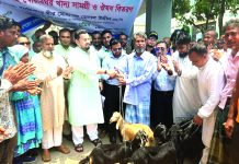 হালদা নির্ভর নিবন্ধিত পরিবারের মধ্যে ছাগল বিতরণ