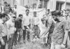 কাপ্তাই নুরুল হুদা উচ্চ বিদ্যালয়ে বৃক্ষরোপণ কর্মসূচি