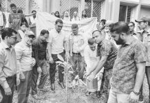 কাপ্তাই নুরুল হুদা উচ্চ বিদ্যালয়ে বৃক্ষরোপণ কর্মসূচি