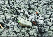 এল নিনোর প্রভাবে চরম তাপমাত্রার ঝুঁকি