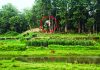 টংকাবতী বনে ৭ টংঘর