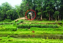 টংকাবতী বনে ৭ টংঘর
