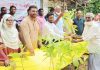 দক্ষিণ পাহাড়তলী ওয়ার্ড বিএনপির গাছের চারা বিতরণ