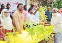 দক্ষিণ পাহাড়তলী ওয়ার্ড বিএনপির গাছের চারা বিতরণ