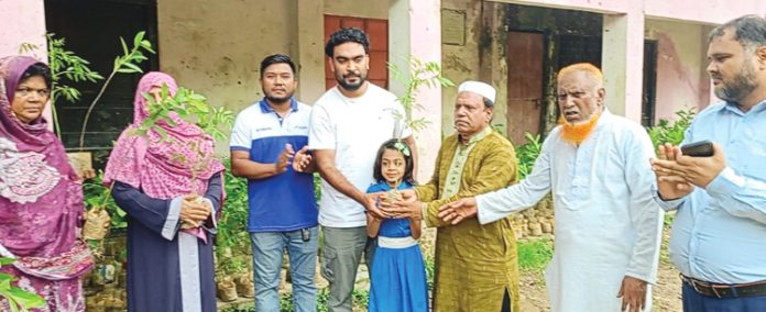Patiya Ksumpora Tree Plantation