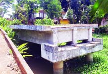 শুরু হলেও শেষ হয়নি রাউলী ব্রিজের কাজ