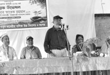 মোহরা সায়েরা খাতুন কাদেরীয়া বালিকা বিদ্যালয়ে বৃক্ষরোপণ