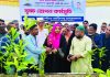 হাটহাজারী-বায়েজিদে চারা বিতরণ করলেন এমপি সাকিলা ফারজানা