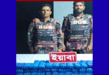 উখিয়ায় প্রায় ১৭ কোটি টাকার ইয়াবা উদ্ধার, আটক ১