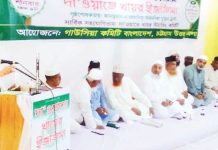 আহলে বাইতের ভালোবাসার আড়ালে সাহাবাদের মর্যাদাহানি করা যাবে না