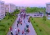 সবুজ বিপ্লবের অনন্য উচ্চতায় কেইপিজেড লাখ লাখ গাছ লাগিয়ে রেকর্ড