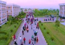 সবুজ বিপ্লবের অনন্য উচ্চতায় কেইপিজেড লাখ লাখ গাছ লাগিয়ে রেকর্ড