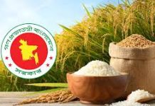 চট্টগ্রাম থেকে ৩৬ টাকায় ধান ও ৪৮ টাকায় চাল কিনছে সরকার