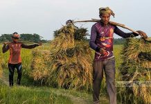 মাথাপিছু আয় প্রথমবারের মত ৩ হাজার ডলার ছাড়াল