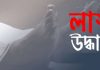 খালাতো বোনের উঠানে মানসিক প্রতিবন্ধীর লাশ
