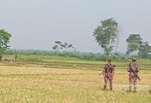 বেনাপোল সীমান্তে ৮-১০ জনকে ঠেলে পাঠানোর চেষ্টা