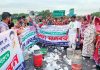 সড়কে মাছ ও বরফ ঢেলে জেলেদের প্রতীকী প্রতিবাদ