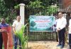 জেলা পরিষদের ফলদ ও বনজ বৃক্ষরোপণ কর্মসূচি