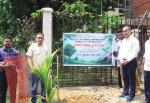 জেলা পরিষদের ফলদ ও বনজ বৃক্ষরোপণ কর্মসূচি