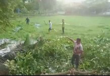 আনোয়ারায় ভূমি বিরোধের জেরে দুই শতাধিক গাছ কর্তন, কারাগারে যুবক