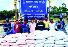 বিপুল পরিমাণ সিমেন্ট ও সারসহ ১০ পাচারকারী আটক