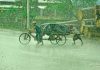 নগরীতে দিনভর থেমে থেমে বৃষ্টি, দুর্ভোগ