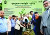 চবিতে আল-আরাফাহ্ ইসলামী ব্যাংকের বৃক্ষরোপণ কর্মসূচি