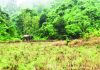 দিনে পাহাড়ে, রাতে লোকালয়ে