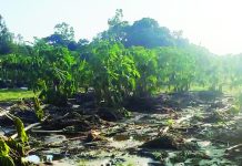 বাঁশখালীতে কৃষি, মৎস্য ও প্রাণিসম্পদ খাতেই ক্ষতি ১১৩ কোটি ২০ লক্ষ টাকা