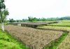 বন্যায় বাঁশখালীর ২৬ হাজার ৮০০ কৃষক ক্ষতিগ্রস্ত