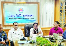 চুরি ঠেকাতে ফেরোসিমেন্ট ও ফাইবার কংক্রিটে মিডিয়ানের সুরক্ষা কাঠামো