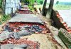 কক্সবাজারে ২৯৪ কিমি সড়ক ক্ষতিগ্রস্ত