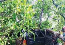টেকনাফে মাইক্রোবাসের ওপর গাছ ভেঙে পড়ে আহত ৩