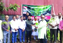ডায়মন্ড সিমেন্টের গাছের চারা রোপণ কর্মসূচির উদ্বোধন