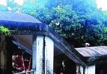 একজন বরাত চৌধুরীর মানবিকতা, রক্ষা পেল আটকে পড়া দুটি কুকুর