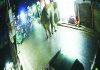 বাজারে হঠাৎ দলছুট বন্য হাতি, আতঙ্কে ছোটাছুটি