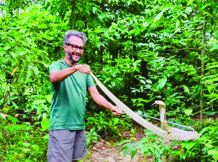 Khagrachhari ((snake release )