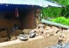 চুনতিতে সপ্তাহব্যাপী বন্যহাতির তাণ্ডব, বসতঘর খামারের ক্ষতি